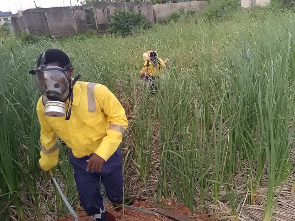 Fumigation & Pest Control
